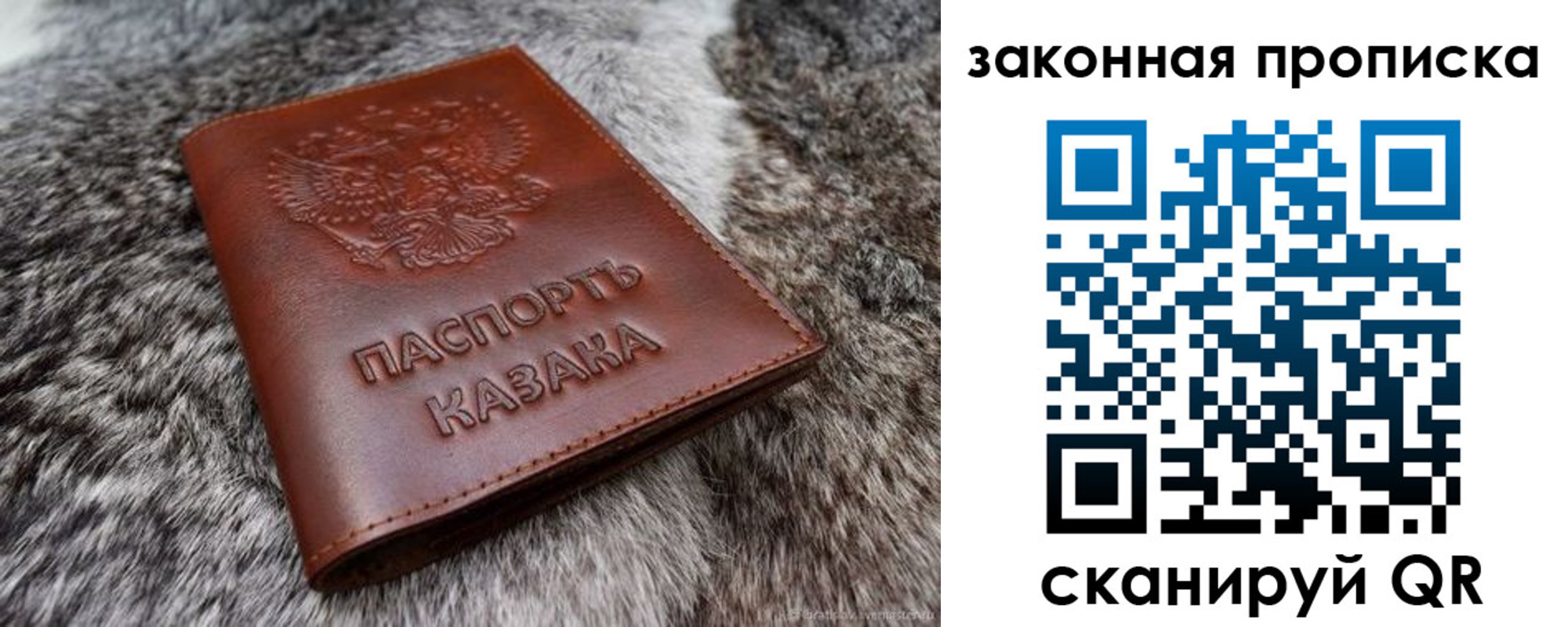 прописка в Шахунье